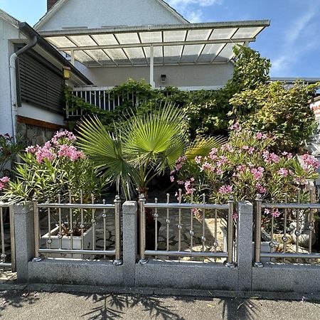 Ferienwohnung Insel 라이헤나우 외부 사진