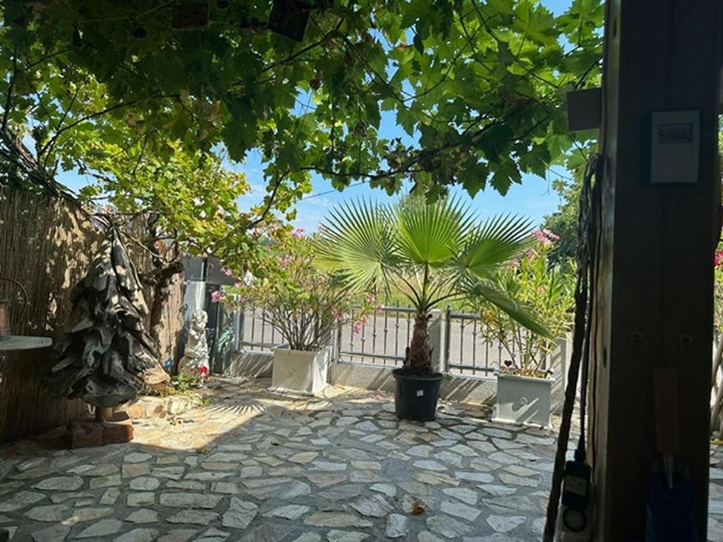 Ferienwohnung Insel 라이헤나우 외부 사진